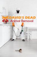 David's Dead Mice Removal Hobart image 6